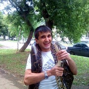  ,   , 41 ,     , c 