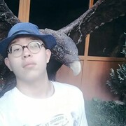 ���������� ���, ���� ����� �������, 22 ����, ������������ ��� ������, ����� � ���������, c�������� ���������, ���������