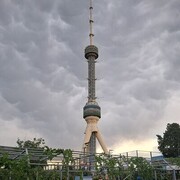 ���������� ���������� �����, ���� ������� Rafael, 38 ���, ������������ ��� ������, ����� � ���������