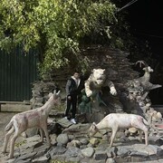 ���������� �����������, ���� ������� ������, 35 ���, ������������ ��� ����� � ���������, c�������� ���������, ���������