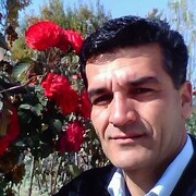 ���������� ����, ���� ������� ������, 52 ����, ������������ ��� c�������� ���������