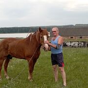  ,   , 62 ,   ,   