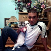  -,   , 41 ,   ,   , c 