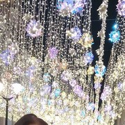 ���������� ������, ���� ������� ��������, 57 ���, ������������ ��� ������, ����� � ���������, c�������� ���������