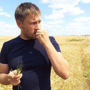 ���������� ������, ���� ������� ����������, 42 ����, ������������ ��� ������, ����� � ���������, c�������� ���������