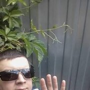  ,  , 44