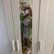 ���������� �����������, ���� ������� �������, 27 ���, ������������ ��� ����� � ���������, c�������� ���������