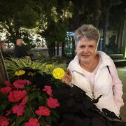  ,   , 65 ,  