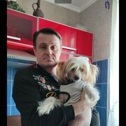 ���������� ������������, ���� ������� ������, 49 ���, ������������ ��� c�������� ���������