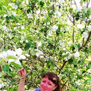 ���������� ������, ���� ������� �������, 46 ���, ������������ ��� ������, ����� � ���������, c�������� ���������