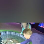 ���������� ������, ���� ������� �������, 46 ���, ������������ ��� ������, ����� � ���������, ���������