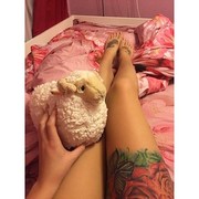 ���������� ������, ���� ������� Ani, 28 ���, ������������ ��� ������, ����� � ���������, c�������� ���������, ���������