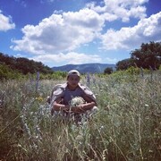 ���������� ������, ���� ����� ����, 23 ����, ������������ ��� ������, ����� � ���������, c�������� ���������