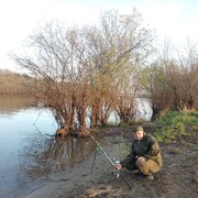 ���������� ���������, ���� ������� �������, 44 ����, ������������ ��� ������, ����� � ���������