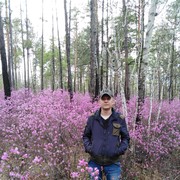  ,   , 40 ,   ,   , c 