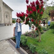  ,  , 55