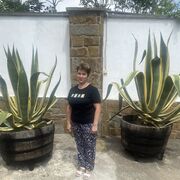 ,   , 51 ,   ,   , c , 