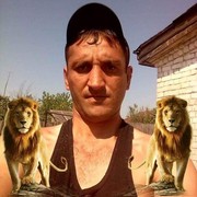  ,  , 43