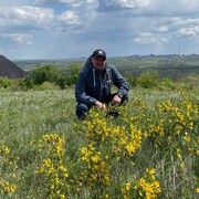 ���������� ������, ���� ������� ������, 42 ����, ������������ ��� ������, ����� � ���������