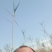 ���������� ������, ���� ������� ����, 44 ����, ������������ ��� ������, ����� � ���������, c�������� ���������