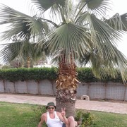 ���������� �������, ���� ������� ����, 51 ���, ������������ ��� ������, ����� � ���������, c�������� ���������