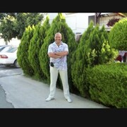 ���������� ����������, ���� ������� ���������, 38 ���, ������������ ��� ������, ����� � ���������