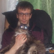 ���������� �����-���������, ���� ������� �����, 40 ���, ������������ ��� ������, ����� � ���������, c�������� ���������