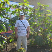 ���������� ���������, ���� ������� ���������, 60 ���, ������������ ��� ������