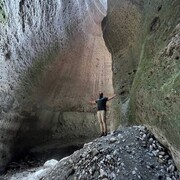 ���������� ���������, ���� ������� �����������, 39 ���, ������������ 