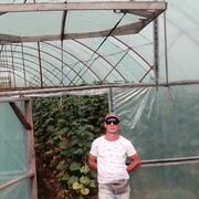  --,   , 50 ,   ,   , c 