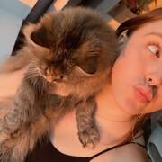 ���������� �����-���������, ���� ������� ������, 20 ���, ������������ ��� ����� � ���������, c�������� ���������