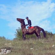 ���������� ������, ���� ������� ����, 27 ���, ������������ ��� ������, ����� � ���������, ���������