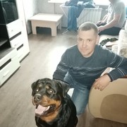 ���������� ����, ���� ������� �����, 38 ���, ������������ ��� ������, ����� � ���������, c�������� ���������