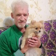 ���������� ������, ���� ������� �������, 70 ���, ������������ ��� ������, ����� � ���������, c�������� ���������