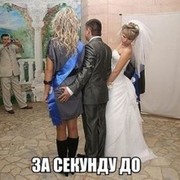  -,    , 38 ,   ,   , c , 