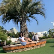 ���������� ������, ���� ������� ���, 40 ���, ������������ ��� ������, ����� � ���������