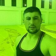  ,   Stark, 40 ,   ,   , 