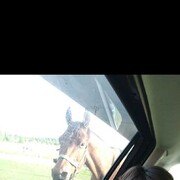 ���������� ������, ���� ����� �����, 21 ���, ������������ ��� ������, ����� � ���������