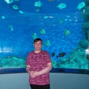 ���������� ������, ���� ������� ������, 56 ���, ������������ ��� c�������� ���������