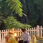 ���������� ���������, ���� ����� �������, 23 ����, ������������ ��� ������, ����� � ���������