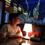 ���������� �����, ���� ������� �����, 36 ���, ������������ ��� ������, ����� � ���������, c�������� ���������