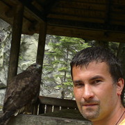 ���������� ����, ���� ������� �������, 45 ���, ������������ ��� ������, ����� � ���������, c�������� ���������