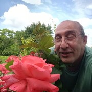  ,   , 53 ,   ,   