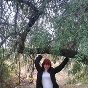 ���������� �������, ���� ������� ����������, 39 ���, ������������ ��� ������, ����� � ���������, c�������� ���������