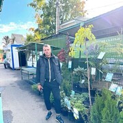 ���������� �����-���������, ���� ������� ����, 40 ���, ������������ ��� ������, ����� � ���������, c�������� ���������