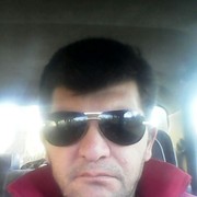   ,   , 51 ,     , c 