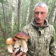 ���������� ������, ������� ��������, 62