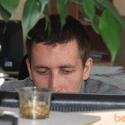  ,   , 41 ,  