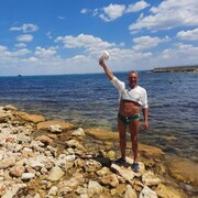 ���������� �����������, ���� ������� ���������, 68 ���, ������������ ��� ���������