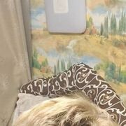  ,   , 50 ,   ,   